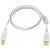 An image showing Câble blanc USB 2.0 5 m (16 pi)