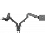 An image showing Black Monitor Desk Arm 100×100 Dual