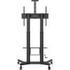 VFM-F26_rear.png