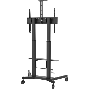 VFM-F26_rear_angle.png