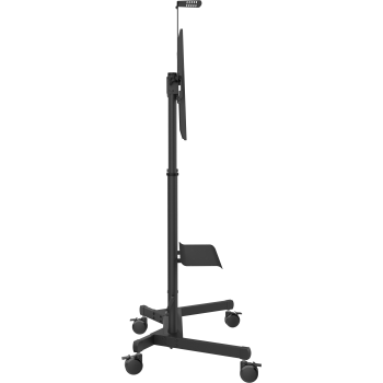 VFM-F26_side.png