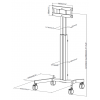 VFM-F30_W_dims-1.png