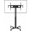 VFM-F30_W_rear-1.png